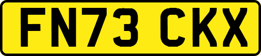 FN73CKX