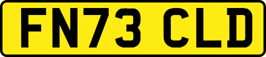 FN73CLD