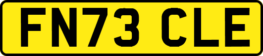 FN73CLE