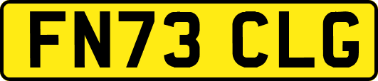 FN73CLG