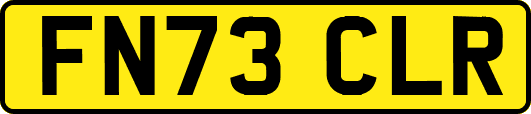 FN73CLR