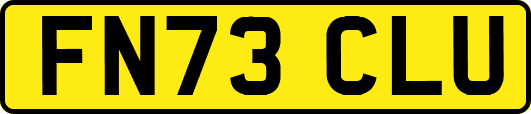 FN73CLU