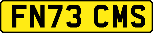 FN73CMS