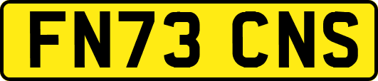 FN73CNS