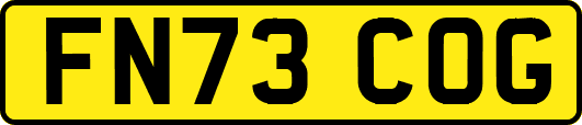 FN73COG