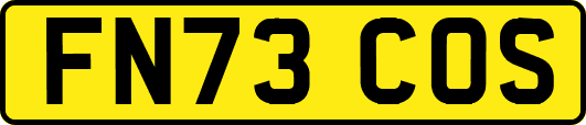 FN73COS