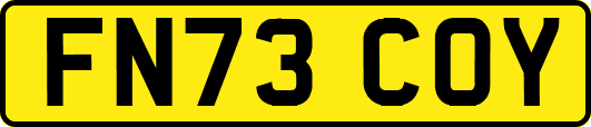 FN73COY
