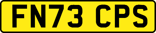 FN73CPS