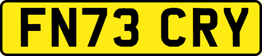 FN73CRY