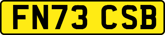 FN73CSB