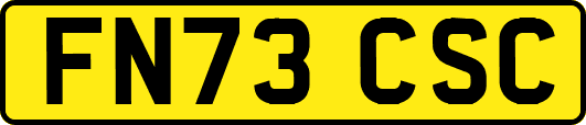 FN73CSC