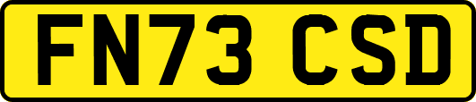 FN73CSD