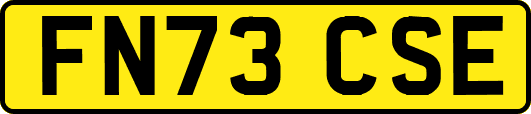 FN73CSE