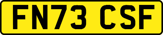 FN73CSF
