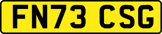 FN73CSG
