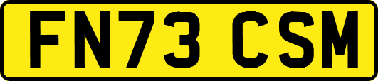 FN73CSM