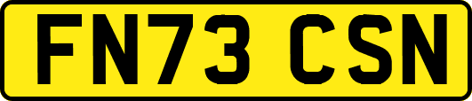 FN73CSN