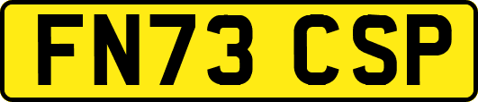 FN73CSP