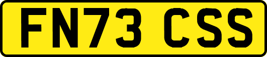 FN73CSS