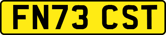 FN73CST