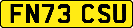 FN73CSU