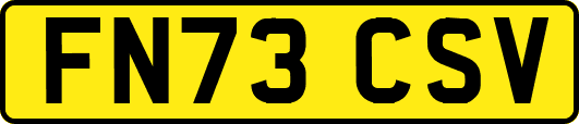 FN73CSV