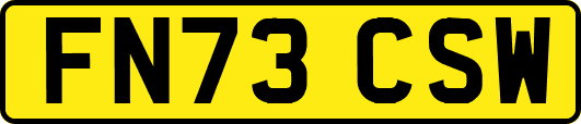 FN73CSW