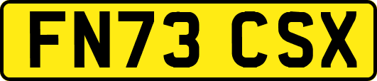FN73CSX