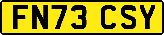 FN73CSY