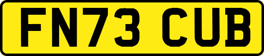 FN73CUB
