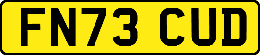 FN73CUD