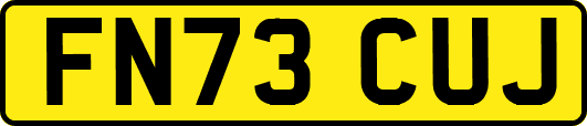 FN73CUJ