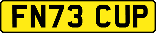 FN73CUP