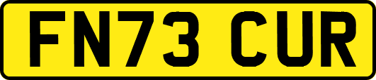 FN73CUR