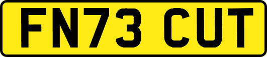 FN73CUT