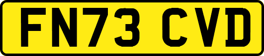 FN73CVD
