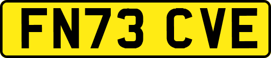 FN73CVE