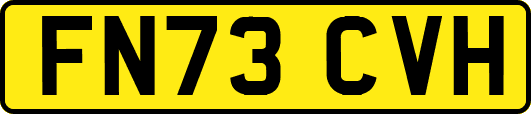 FN73CVH