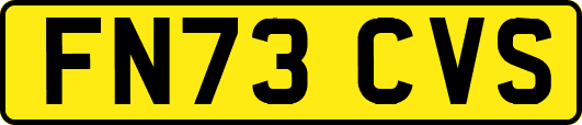 FN73CVS