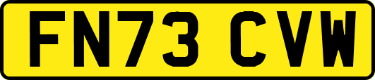 FN73CVW