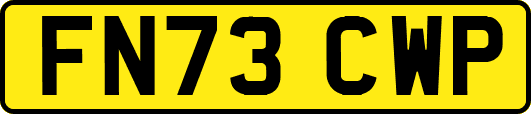 FN73CWP