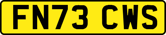 FN73CWS
