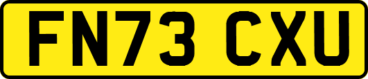 FN73CXU