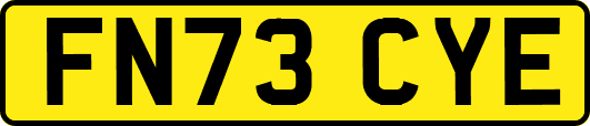 FN73CYE