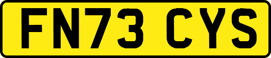 FN73CYS