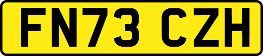 FN73CZH