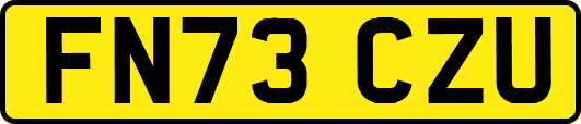 FN73CZU