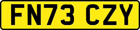 FN73CZY