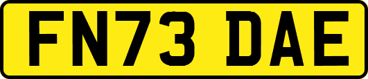 FN73DAE