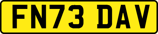FN73DAV